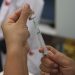 Saúde: Primeiras doses de vacina contra a dengue chegam ao Brasil