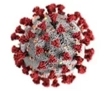 Brasil tem redução de mortes pelo vírus da Covid-19