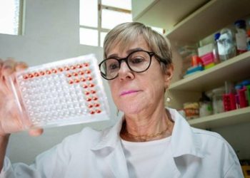 Leptospirose: Instituto Butantan desenvolve teste que detecta doença em estágio inicial