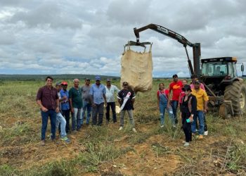 No interior da Bahia novas tecnologias impulsionam a produção agrícola