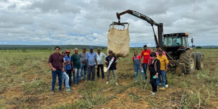 No interior da Bahia novas tecnologias impulsionam a produção agrícola 