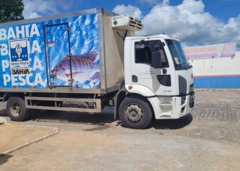 Pescadores comercializam cerca de dois milhões de reais na quaresma