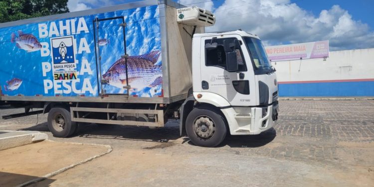 Pescadores comercializam cerca de dois milhões de reais na quaresma