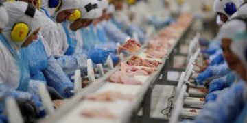 Avanço: 146 frigoríficos brasileiros podem exportar para a China