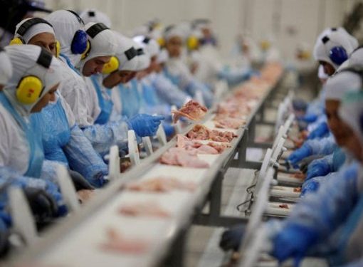 Avanço: 146 frigoríficos brasileiros podem exportar para a China